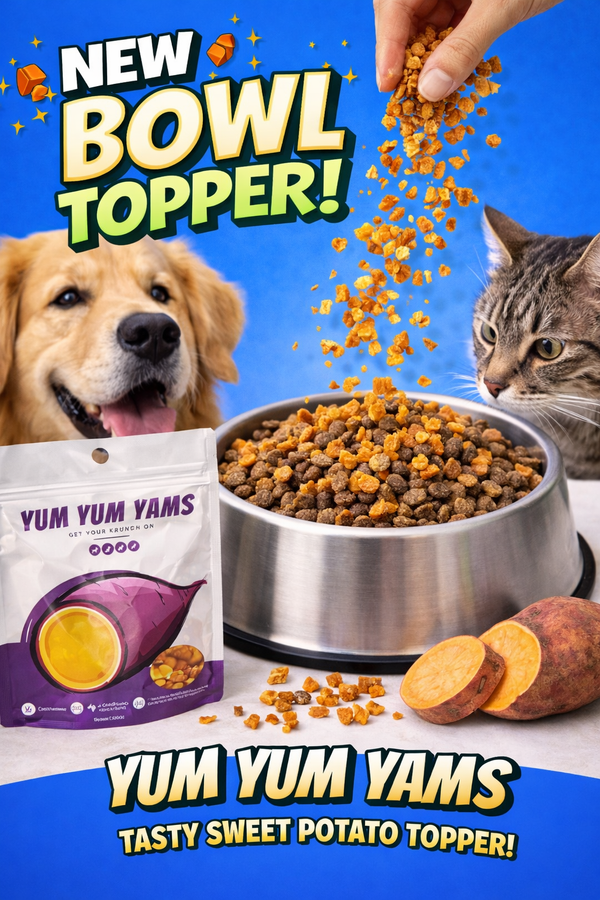 Healthy Game Day Snacks for You and Your Dog